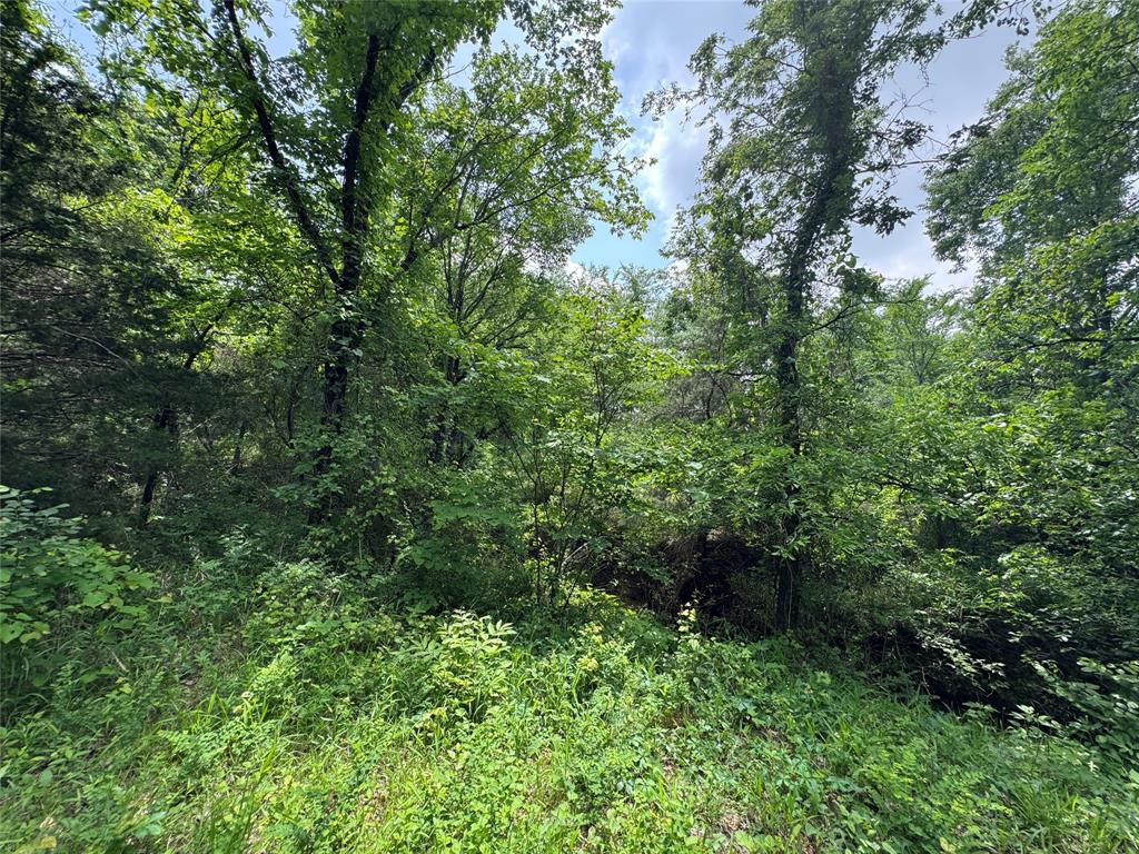 Horseman's Ranch - Land