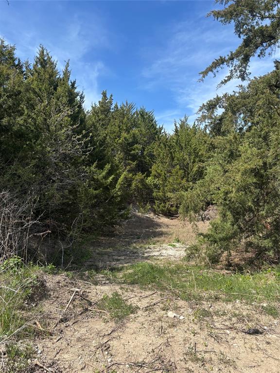 Don’t miss your chance to own this beautiful 4.1-acre slice of Texas, perfectly situated outside the city limits in the highly sought-after Maypearl Independent School District. With a peaceful creek winding through the property and mature trees offering shade and character, this land is ready for your dream home to take shape. Enjoy the freedom of country living with room to roam, build, and create the lifestyle you’ve been wanting without sacrificing convenience to nearby amenities. Properties like this don’t come around often, especially with this kind of natural beauty and location.