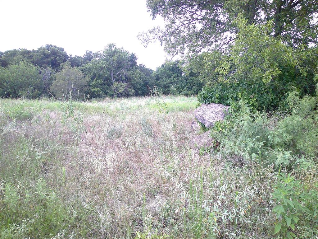Pecan Acres - Land