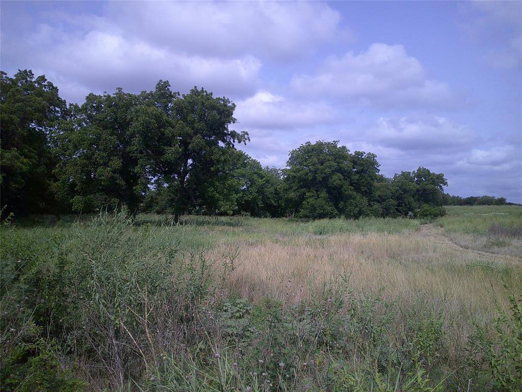 Pecan Acres - Land