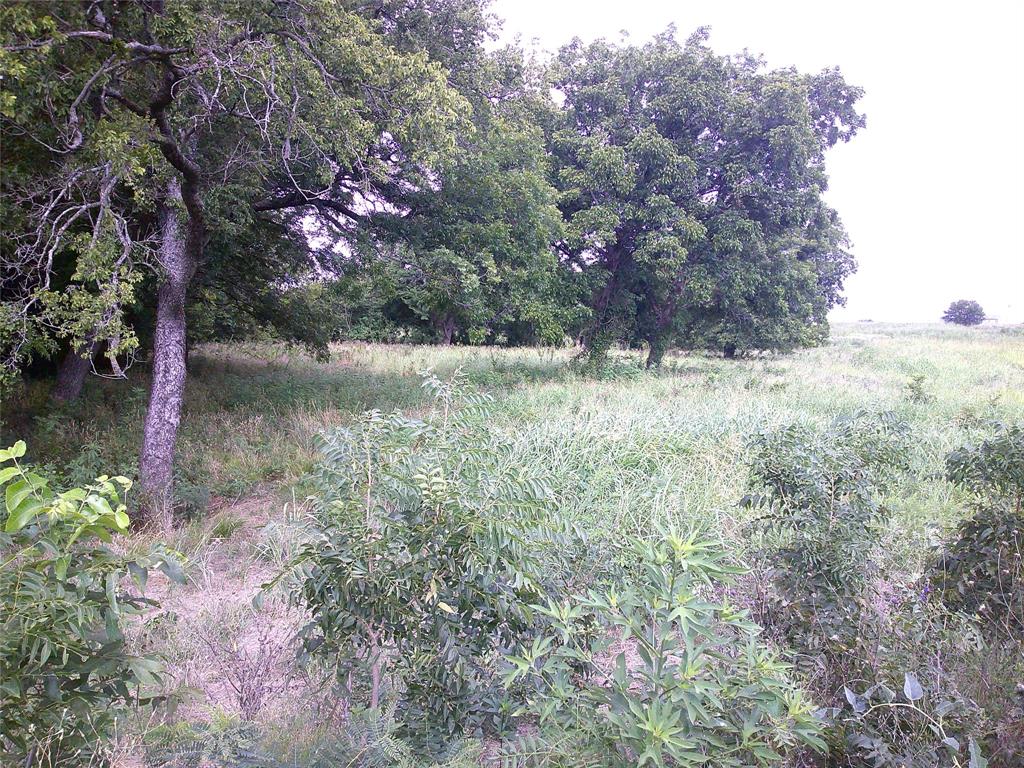Pecan Acres - Land
