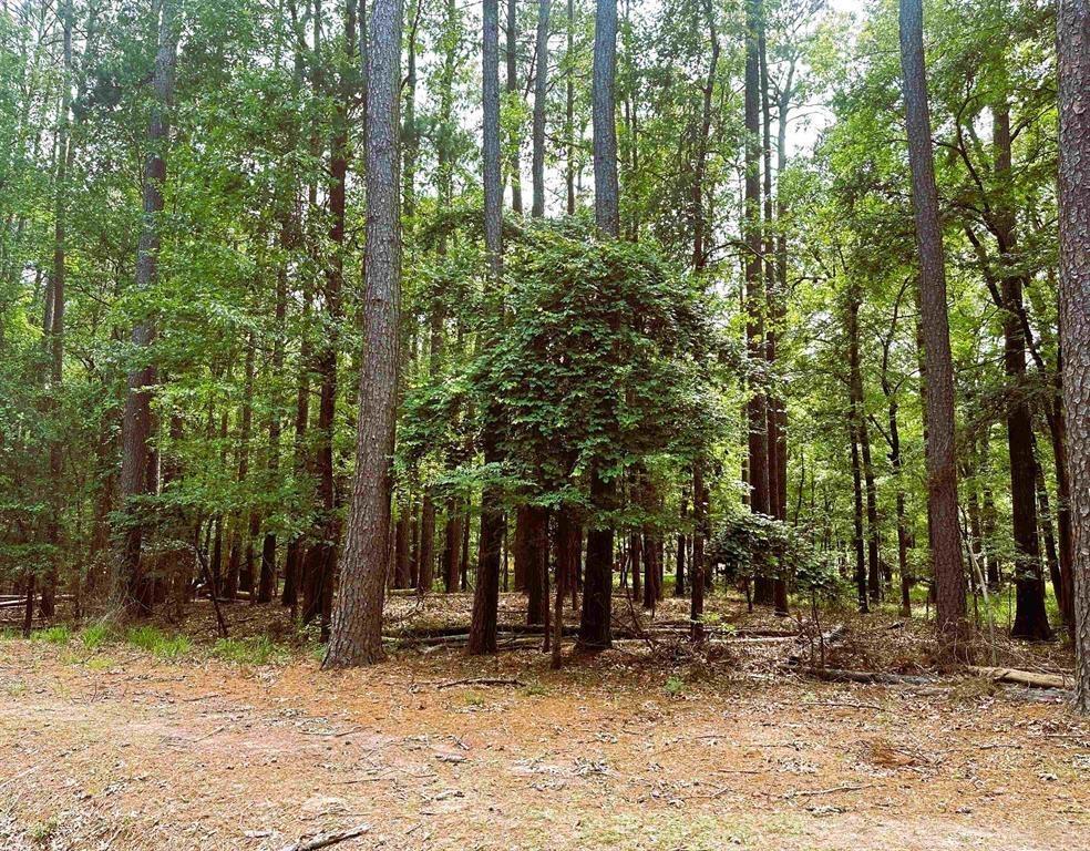 Incredible opportunity to own a spacious lake lot of .4 acres in the sought-after Tall Tree subdivision at Lake Cypress Springs. This parcel is a great building site for your dream home...just steps away from Lake Cypress Springs and all the amenities the subdivision has to offer such as a secure gated entrance for added peace of mind, a refreshing pool for those warm summer days, a sports court, boat ramps and clubhouse. More lots available by the same seller!