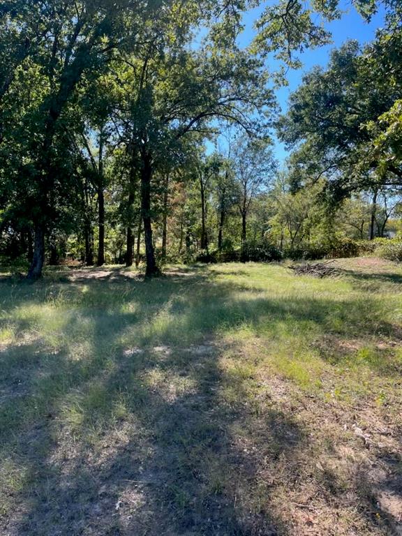 Great opportunity!. Two Beautiful wooded lots, cleared and ready to build on. Highly restricted subdivision with easy commute to Dallas. This subdivision is adjacent to Cedar Creek Country Club and offers all of their amenities....tennis, golf, swimming and fine dining.