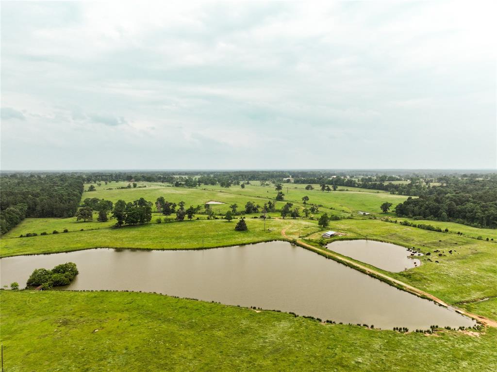 Discover the allure of Texas ranch life on this expansive property in Houston County. Whether you’re an experienced rancher or seeking a picturesque retreat, this land offers endless possibilities. The property offers prime road frontage as it is strategically positioned along Hwy 21, FM 2110 and CR 3340. This ranch enjoys excellent visibility and accessibility. With its generous size, the property is easily divisible, allowing for flexible use or potential development. Two large livestock barns, multiple smaller barns, and well designed cattle working pens to ensure efficient operations. The property is fenced and cross fenced for seasonal and rotational grazing. Several large ponds, one being approximately 9 acres, dot the landscape, providing water sources for livestock and enhancing the scenic beauty. The rolling terrain and open pastures capture the essence of this highly desired area. An old ranch house sits on the property that would be excellent for a foreman, or remodel.