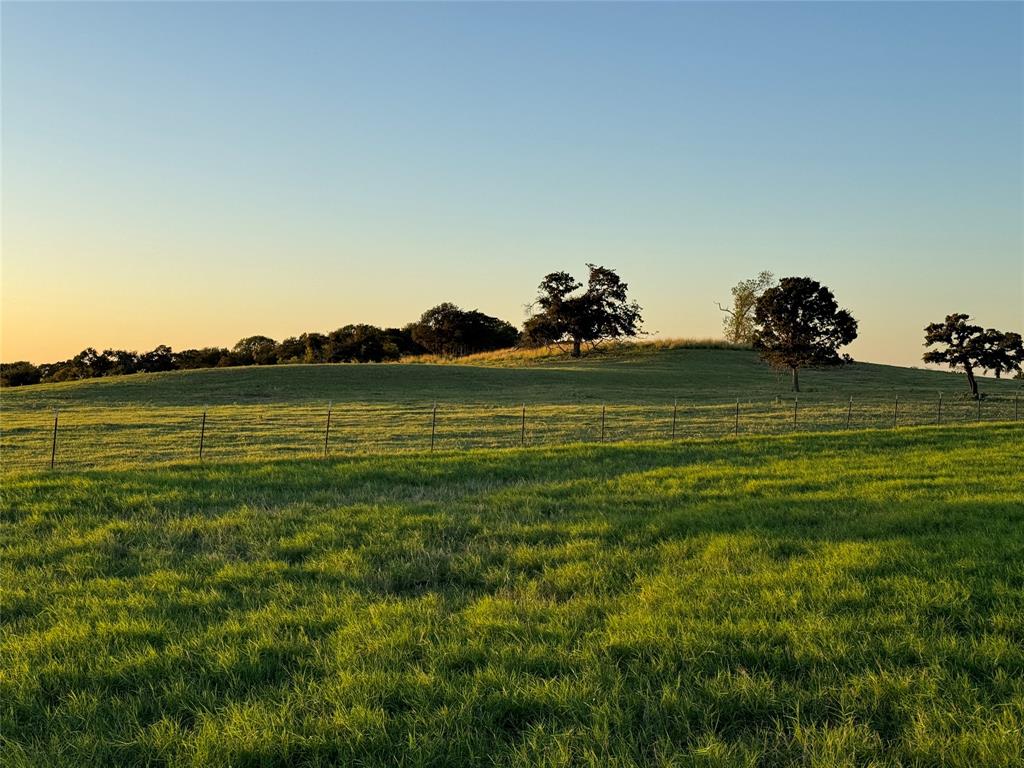 none - Farm