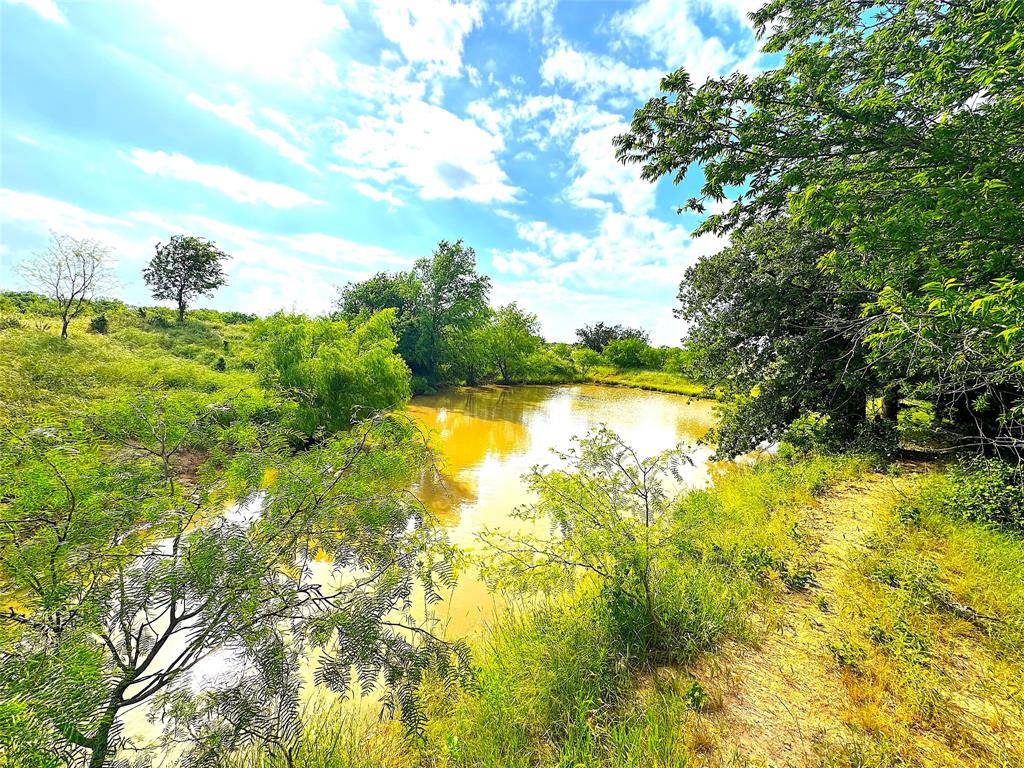 Rare opportunity to own 97 acres in the heart of Texas horse country with a rich ranching history. This beautiful property features sandy loam soils, abundant wildlife including white-tail deer, dove, turkey, pigs and more. Once part of the historic ranch lands owned by legendary cattlemen Charles Goodnight and Oliver Loving, this acreage blends Texas heritage with modern convenience. Located just 10 minutes north of historic and rapidly growing Mineral Wells, TX, and only 1 hour west of Fort Worth, this ranch sits in the cutting horse capital of the world. Whether you are looking to build your dream home, establish an equestrian facility, or invest in prime ranch land for oudoor hunting enthusiast, this property offers endless potential.
Short-term owner financing available. Additional acreage also available.