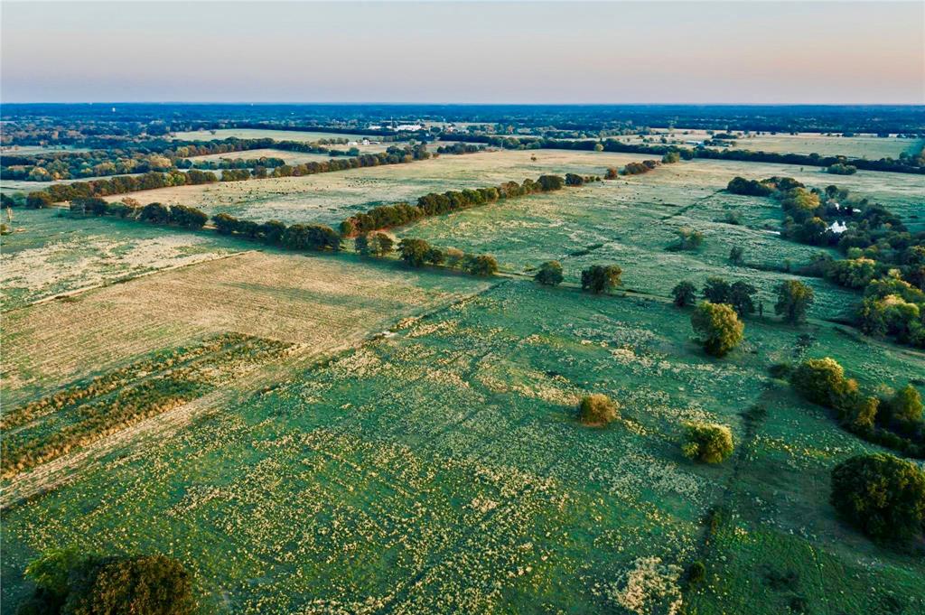 James Webb Surey - Farm