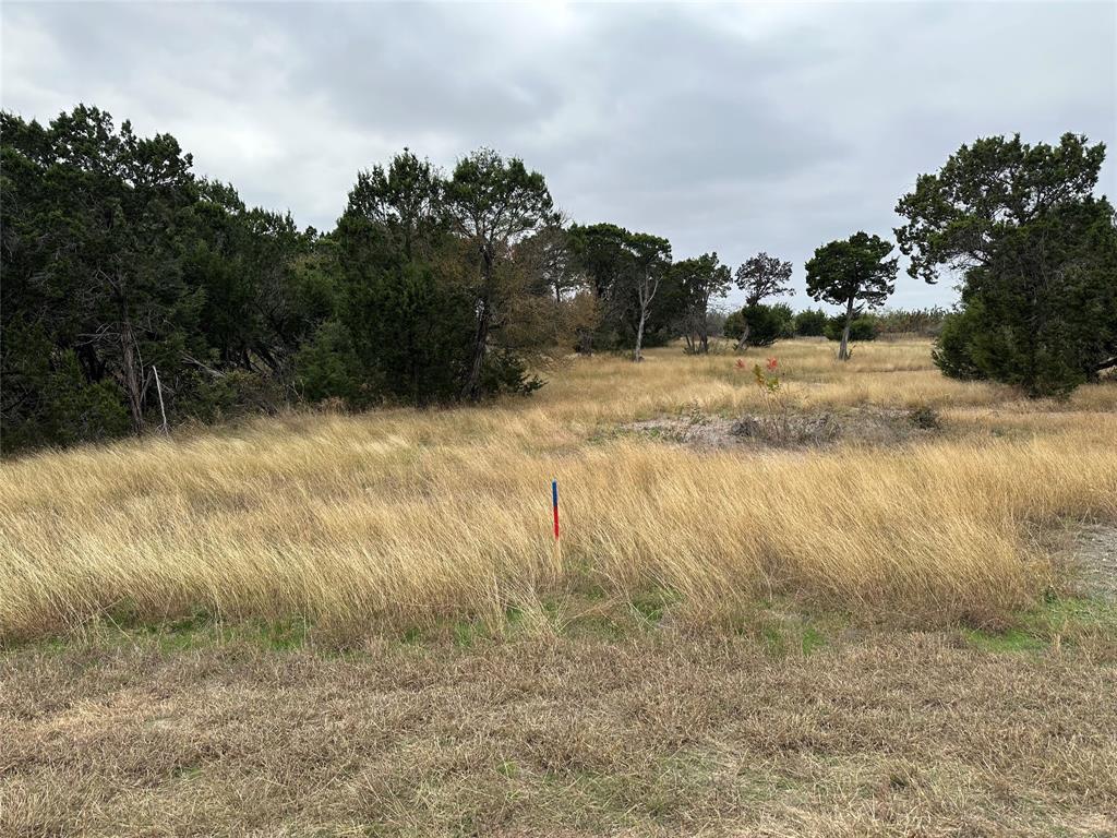 Discover the potential of building your dream home on this beautiful .82 acre undeveloped lot, located in the prestigious gated community of The Retreat in Cleburne, Texas. Nestled amidst rolling hills and scenic views, this lot offers the perfect canvas to design a home that suits your vision, all while enjoying the tranquility of resort-style living.  Residents enjoy exclusive access to world-class amenities, including an 18-hole championship golf course, a resort-style swimming pool, a state-of-the-art fitness center, tennis courts, hiking and biking trails, and a luxurious clubhouse featuring a full-service restaurant and bar.  Situated about 30 minutes from Fort Worth, The Retreat offers the perfect blend of peaceful countryside living and urban convenience. Whether you envision a primary residence or a weekend getaway, this lot provides a rare opportunity to own a piece of paradise in one of Texas’s most sought-after communities. Owner does not have a survey for property, so this will be at the buyers expense to obtain. In order to abide by the Community Covenants and Restrictions there are red and blue stakes to help identify the lot discretely. Please find the CCR, The Retreat building packet, and approved builders attached in the Transaction Desk. Pictures will be posted later today.
