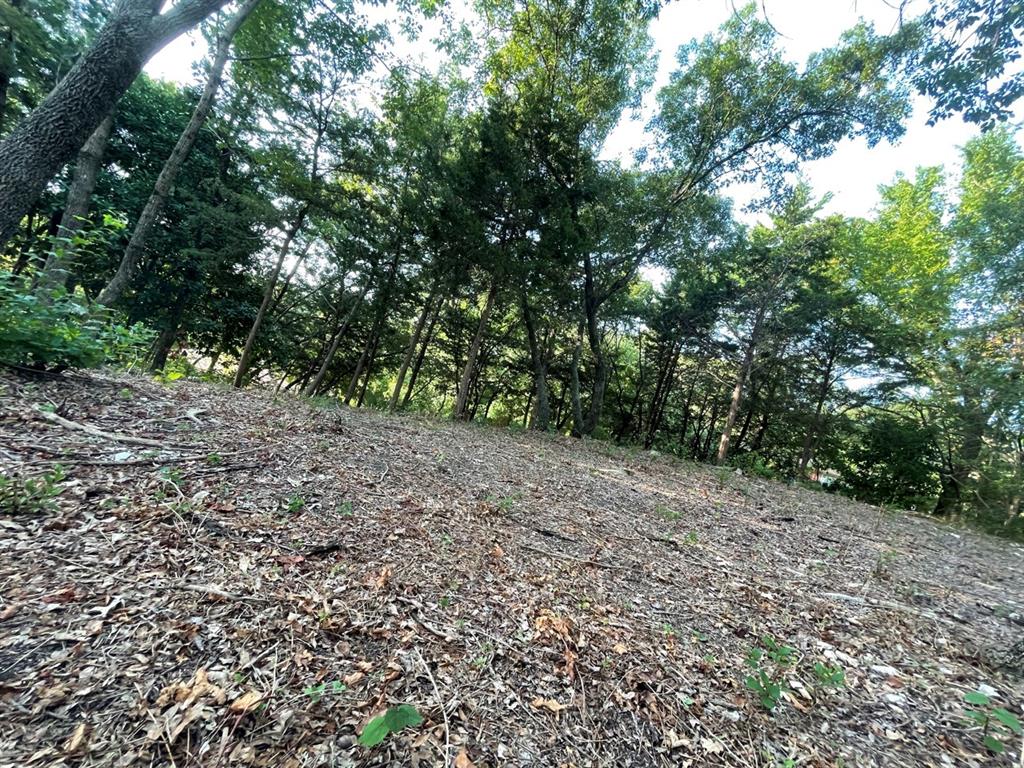Southern Hills - Land