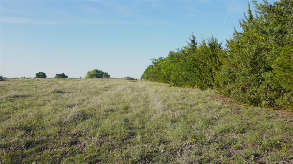 The Preserve at Buchanan Place Phase 1 - Land