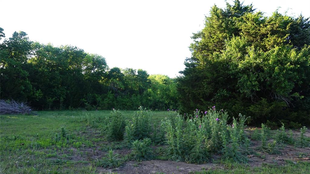 The Preserve at Buchanan Place Phase 1 - Land