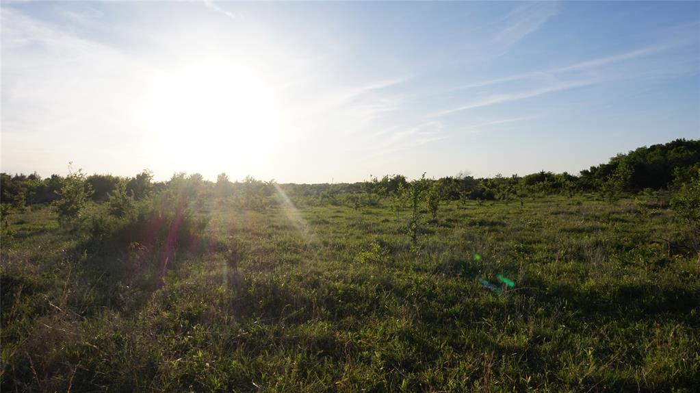 The Preserve at Buchanan Place Phase 1 - Land