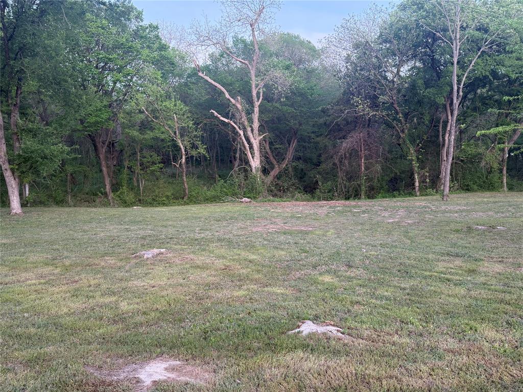 Wm Bell - Land