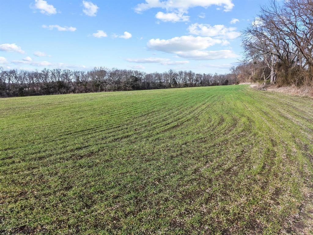 Grayson Co Unplatted - Residential