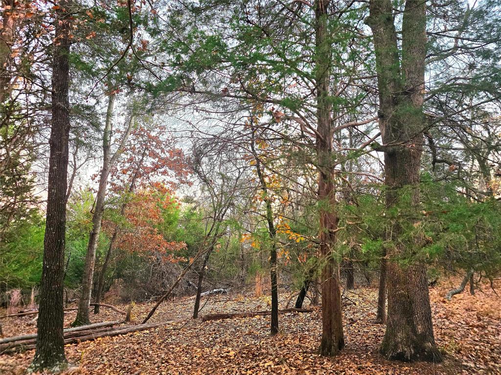 Safari Waters Ranch - Land