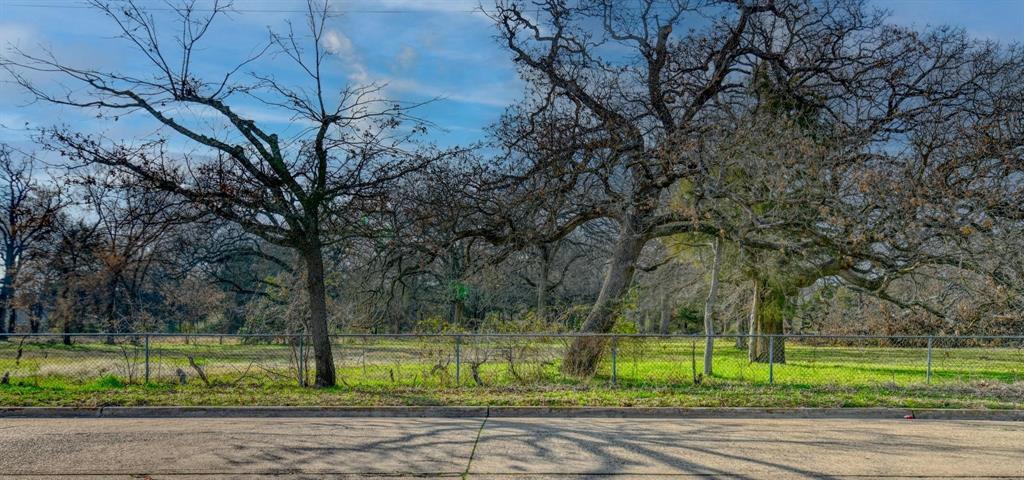 Sherwood Forest 01 - Land