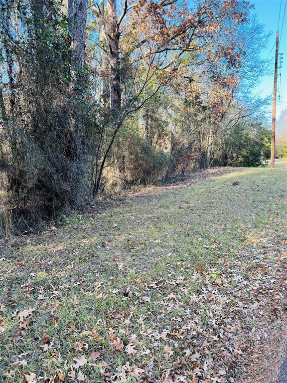 Come and view this beautiful wooded lot in Tall Tree. Electric and water utilities are available. This .34 of an acre is ready for you to make your own. This gated community offers tennis courts, pool and boat ramp. Call Today!