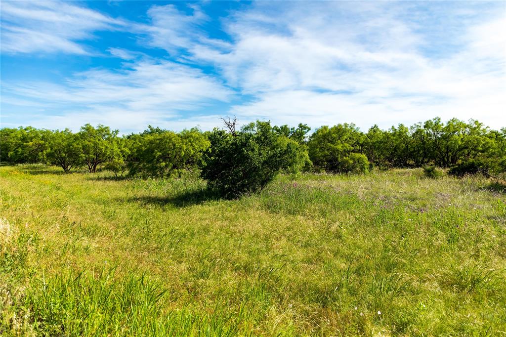 This undeveloped tract located in the Jim Ned School District comes without restrictions. The property sits between US 84 and the railroad track. Rural water is located across the highway. Give the listing agent a call for more information.
