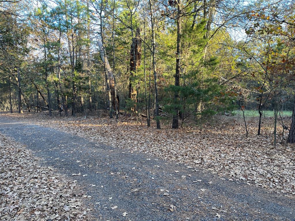 This secluded lot in the woods is perfect for your new Cabin In The Woods on beautiful Lake Bob Sandlin for all your water activities.  Leesburg is a great location being so close to all your shopping or medical needs.  Close to Mt Pleasant, Winnsboro, Mt Vernon and minutes away from Sulphur Springs as well.  Come view this beauty!