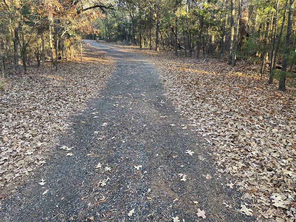 Camp Branch - Land