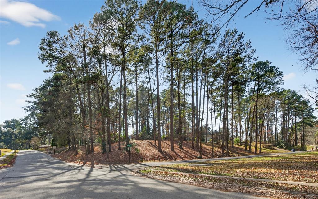 Pierremont Hills - Land