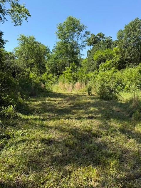 Nestled among mature trees on this one and half acre land just outside the city limits of Greenville, Texas, this property offers the space and freedom you've been searching for. With no HOA restrictions, bring your vision.