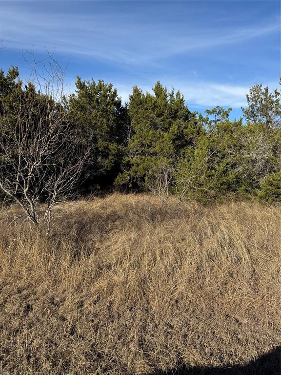 White Bluff #44 - Land