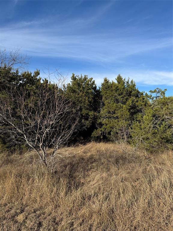 White Bluff #44 - Land