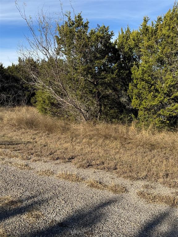 White Bluff #44 - Land