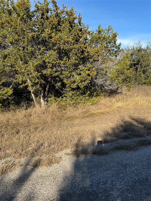 White Bluff #44 - Land