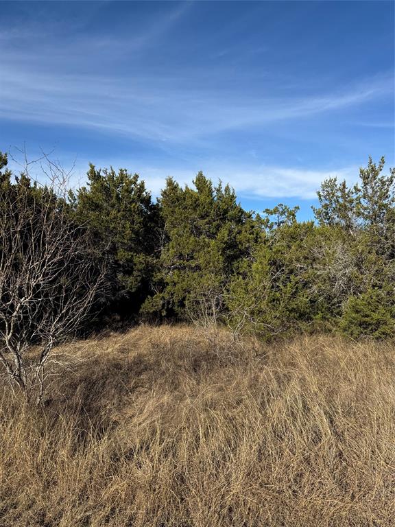 White Bluff #44 - Land