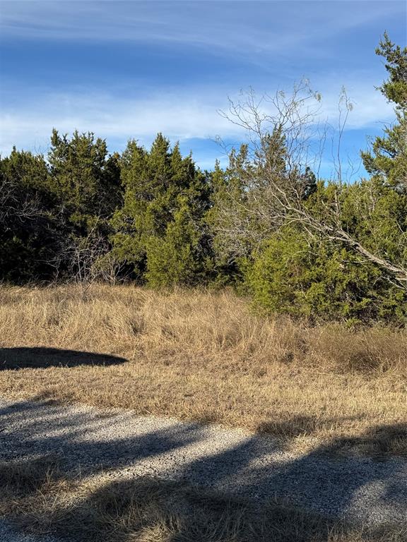 White Bluff #44 - Land