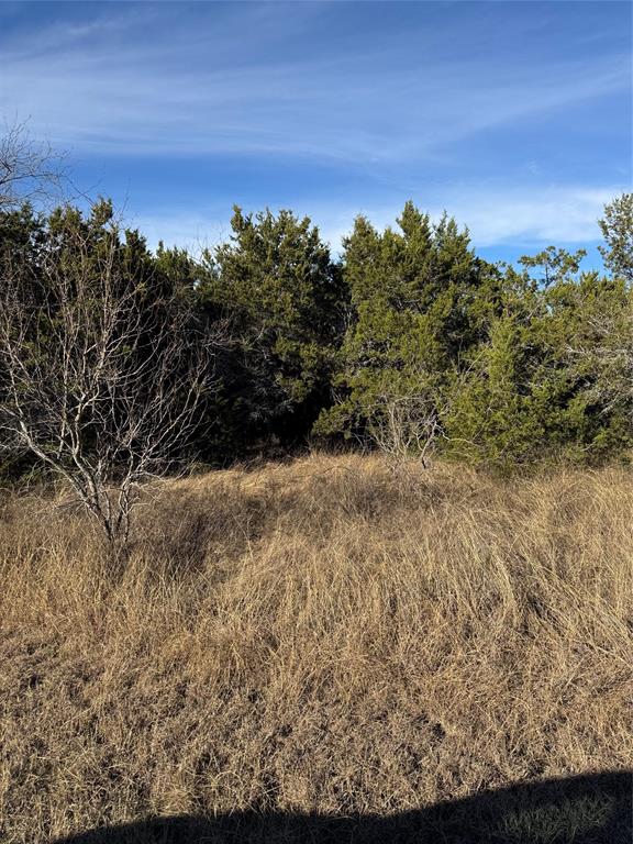 White Bluff #44 - Land