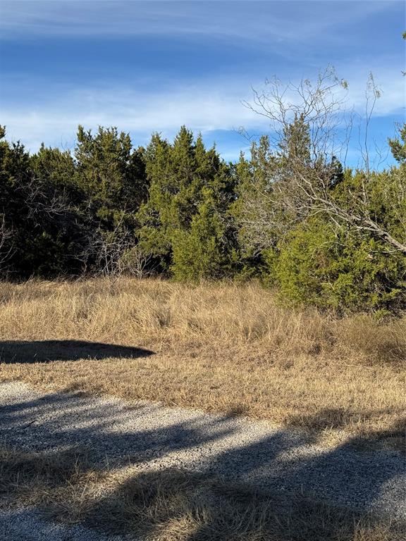 White Bluff #44 - Land