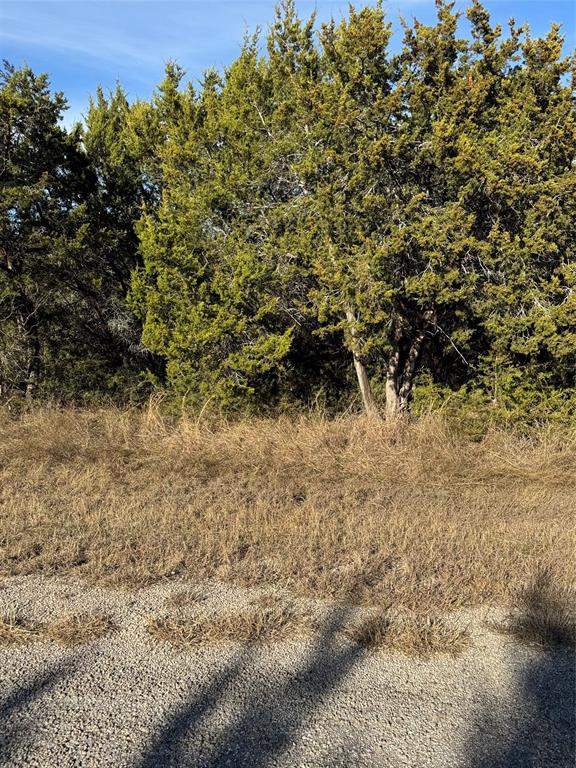 White Bluff #44 - Land