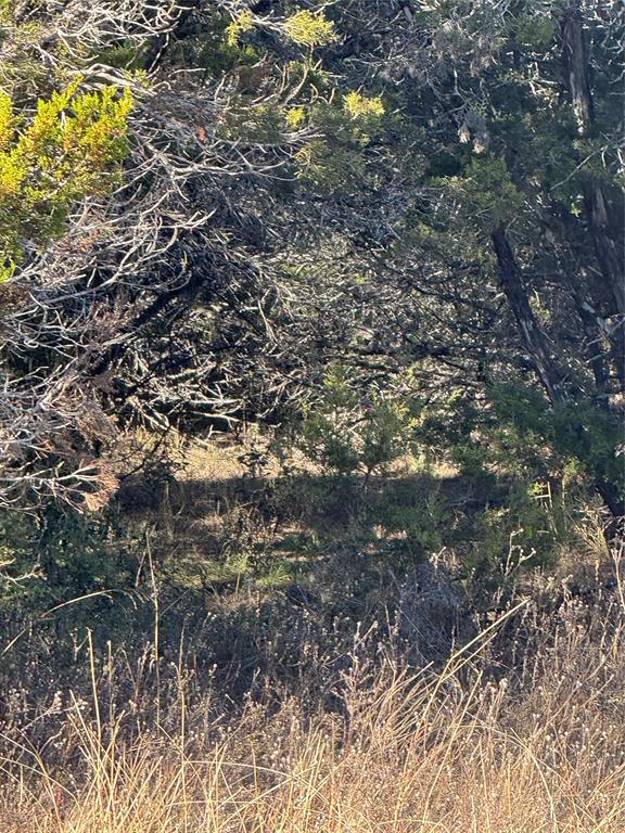 White Bluff #44 - Land