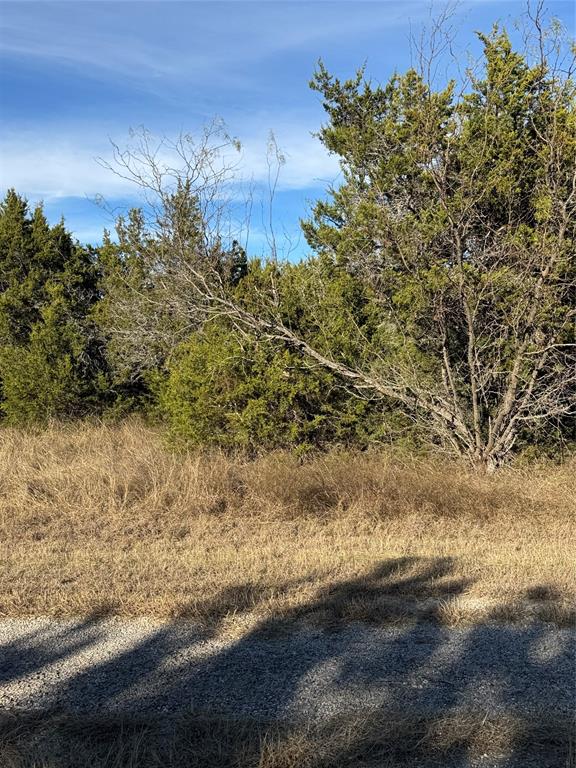 White Bluff #44 - Land