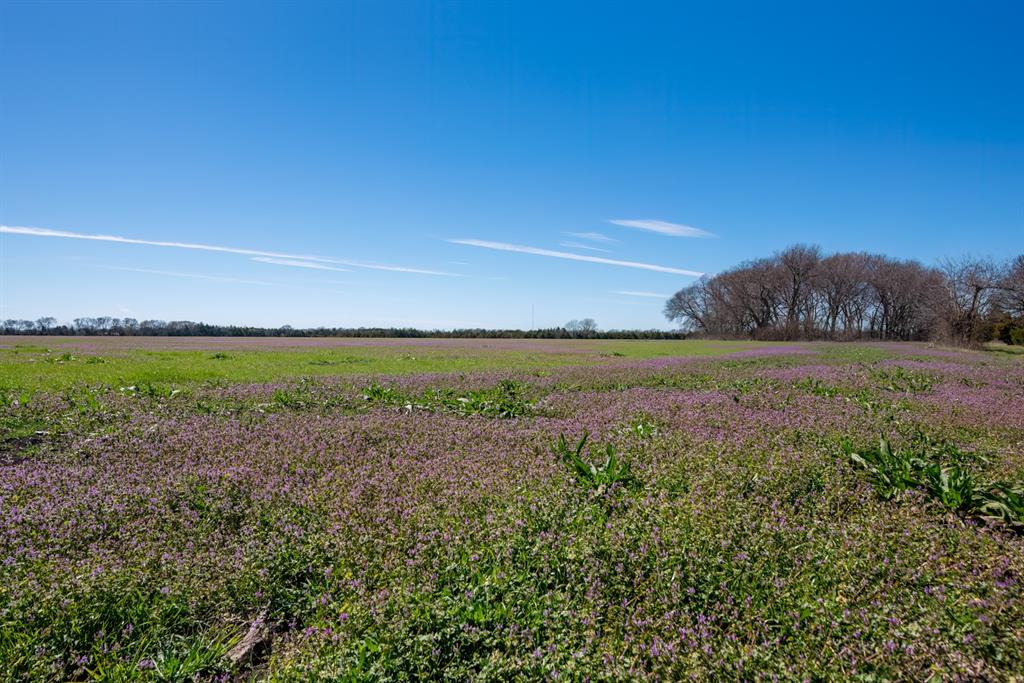 NA - Farm