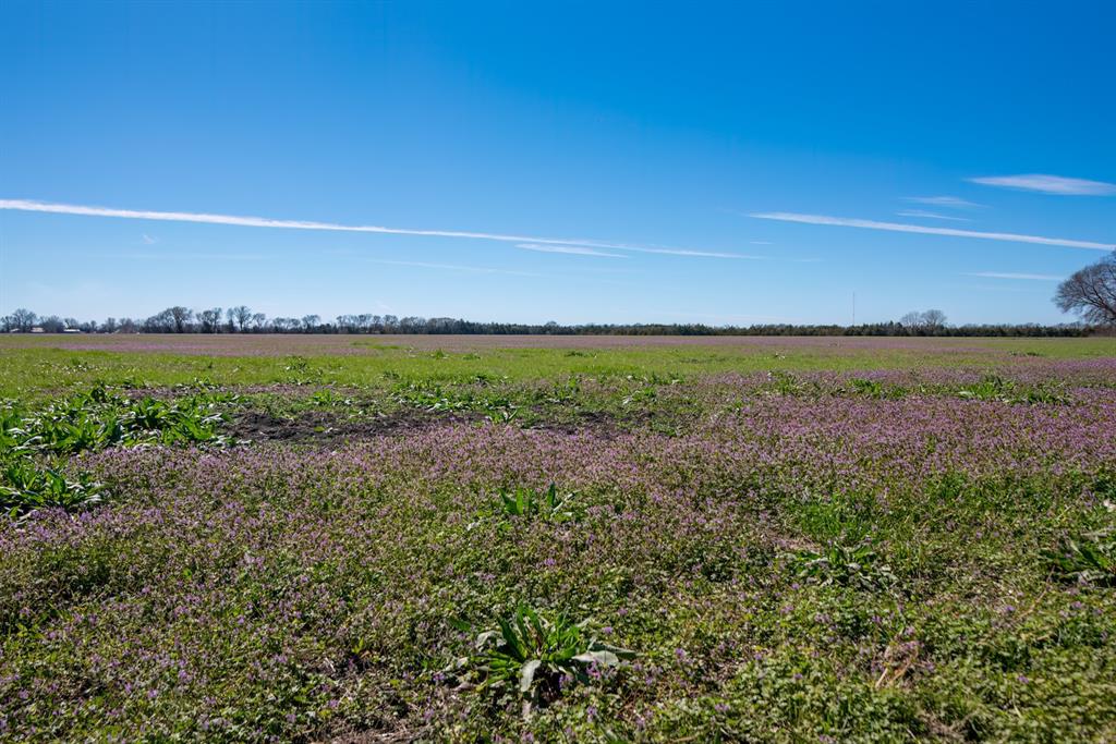 NA - Farm