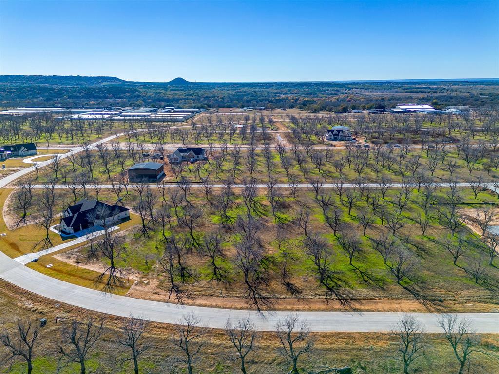 Pecan Plantation - Land