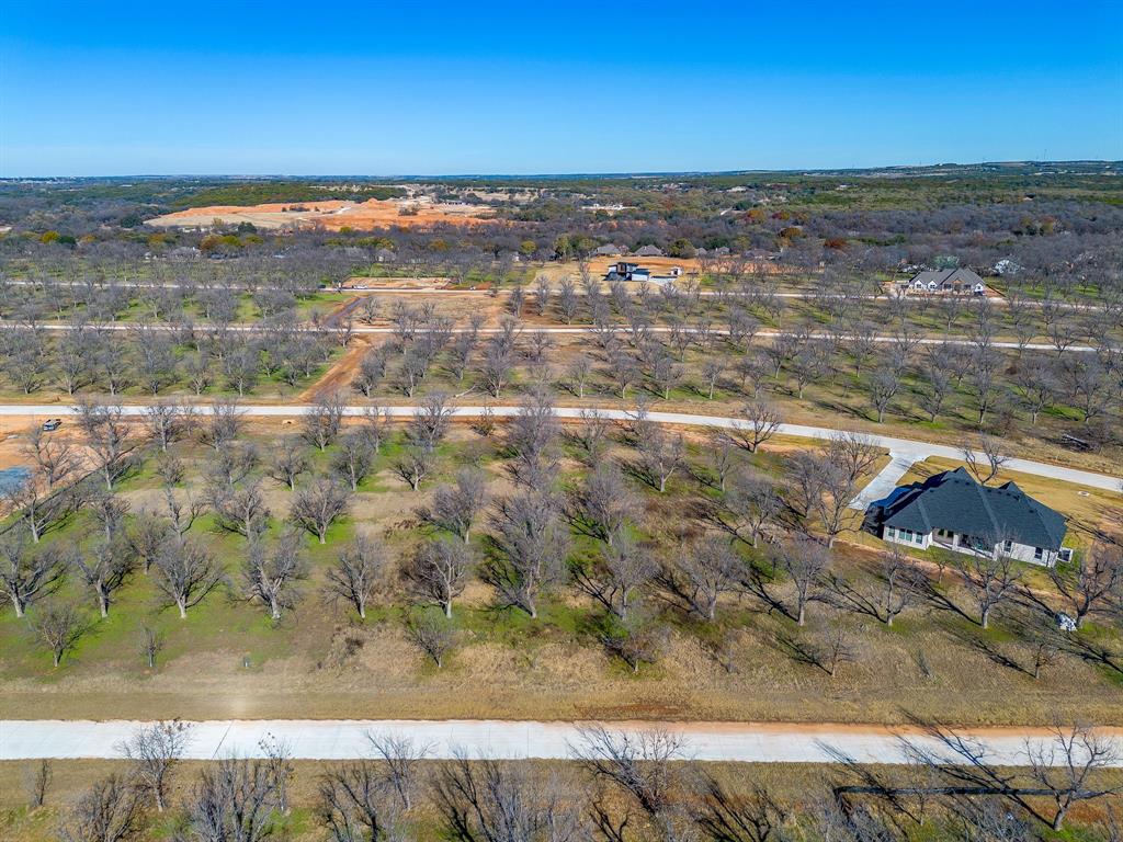 Pecan Plantation - Land