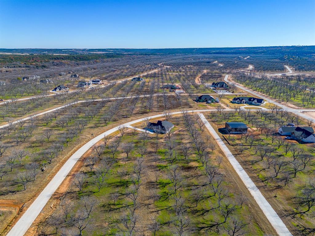 Pecan Plantation - Land