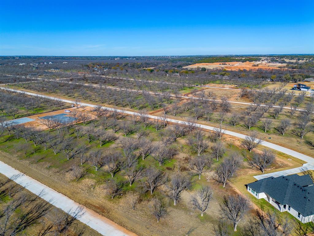 Pecan Plantation - Land