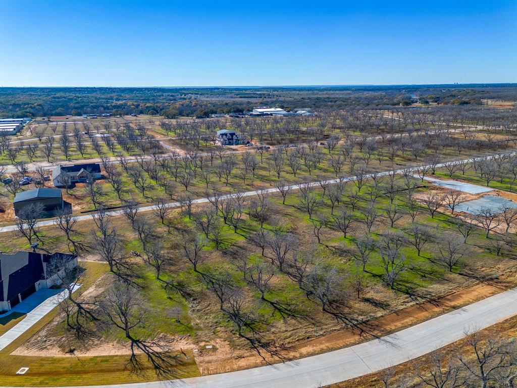 Pecan Plantation - Land