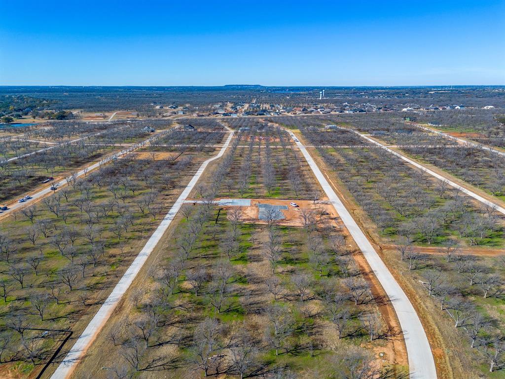 Pecan Plantation - Land
