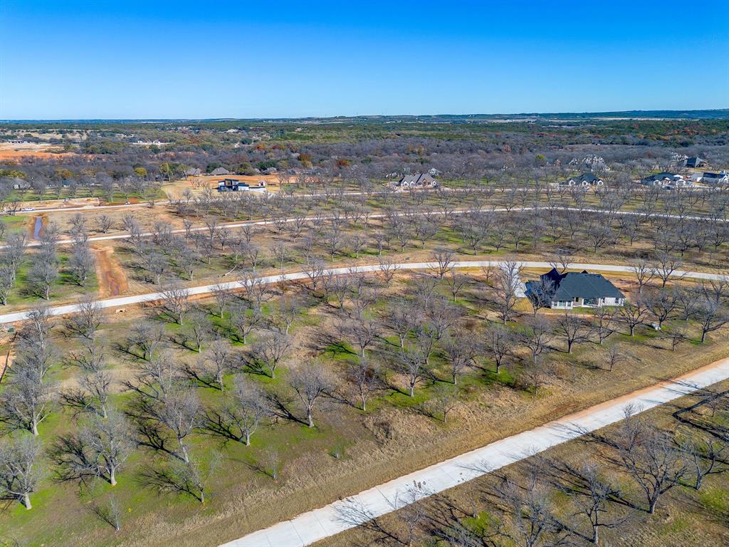 Pecan Plantation - Land