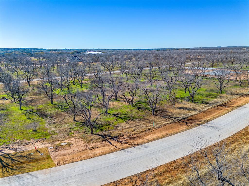 Pecan Plantation - Land