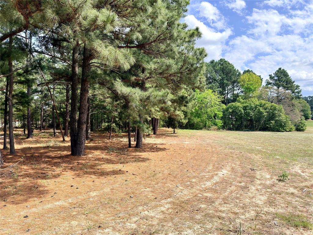 Waters Edge Ranch Ph 01 - Land