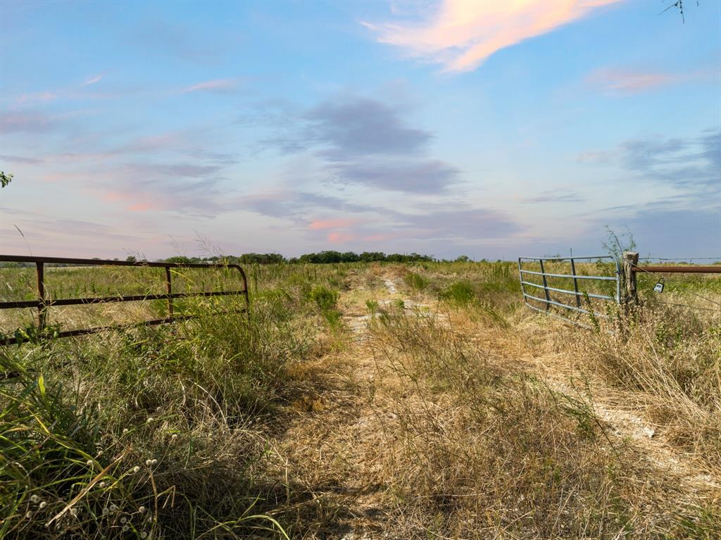 M CLENDENING - Land
