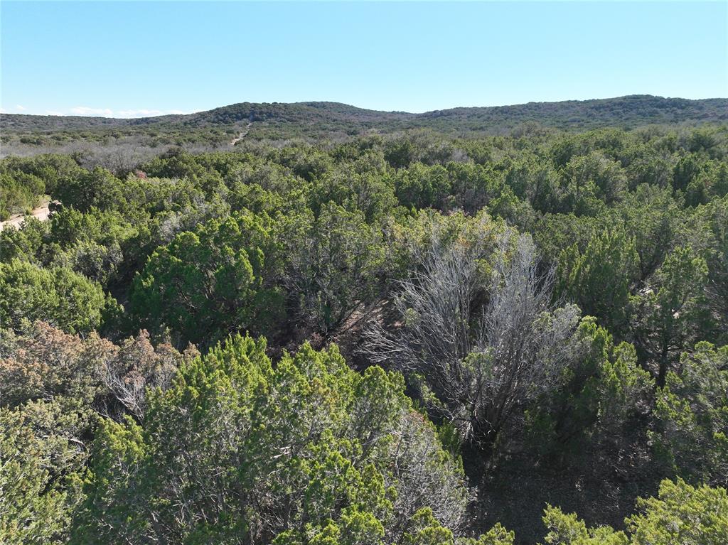 Lemons Gap Ranch - Land